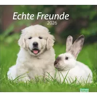 Heye times&more Echte Freunde Bildkalender 2026