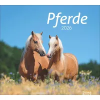Heye times&more Pferde Bildkalender 2026
