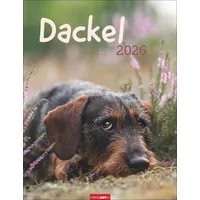 Weingarten Dackel Kalender 2026