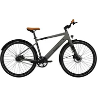 Sachsenrad Allround Urban Trekking E-Bike C3T Grau