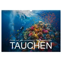 Calvendo Erlebe mit mir verzaubernde Unterwasserwelten Tauchen (Wandkalender 2026