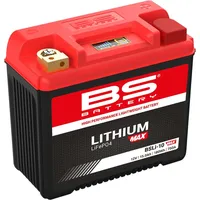 BS Battery Bsli-10 Max