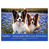 Calvendo Papillon - bringt jedes Herz zum Schmelzen (Wandkalender
