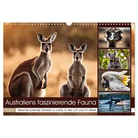 Calvendo Australiens faszinierende Fauna (Wandkalender 2026 DIN A3 quer),
