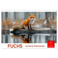 Calvendo Fuchs - schöne Momente (Wandkalender 2026 DIN A3
