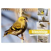 Calvendo Erlenzeisige (Tischkalender 2026 DIN A5 quer), CALVENDO Monatskalender