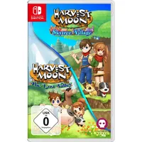 NBG Harvest Moon The Lost Valley Skytree Village Nintendo
