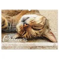 Calvendo Catlovers - Ein Jahr voller Samtpfoten und charmanten