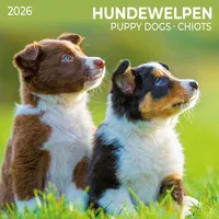 Tushita paperart Hundewelpen/Puppy Dogs 2026