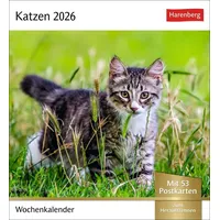 Harenberg Katzen 2026