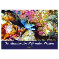 Calvendo Geheimnisvolle Welt unter Wasser - Nachts am Riff