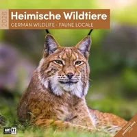 Ackermann Heimische Wildtiere Broschürenkalender 2026 - 30x30 - Art12