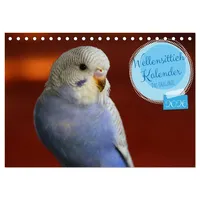 Calvendo Wellensittichkalender! - Das Original (Tischkalender 2026 DIN A5