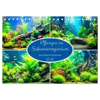 Calvendo Pflanzen im Süßwasseraquarium. Gartenkunst im Fischbecken (Tischkalender 2026
