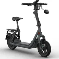 Egret GTs grau