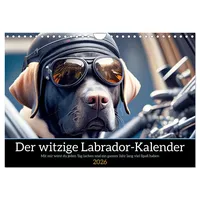 Calvendo Der witzige Labrador-Kalender (Wandkalender 2026 DIN A4 quer),