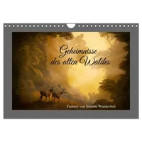 Calvendo Geheimnisse des alten Waldes (Wandkalender 2026 DIN A4