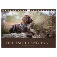 Calvendo Passion Jagdhund - Deutsch Langhaar (Wandkalender 2026 DIN