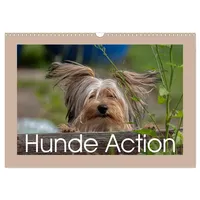 Calvendo Hunde Action (Wandkalender 2026 DIN A3 quer), CALVENDO