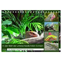 Calvendo In der Welt der unterschiedlichsten Echsen (Tischkalender 2026