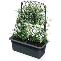 Spetebo Kunststoff Blumenkasten anthrazit mit Rankgitter - 80 x