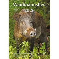 DRW-Verlag Waidmannsheil 2026