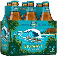 Kona Big Wave Lager 0,355l aus Hawaii Alc 4,6