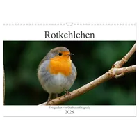 Calvendo Rotkehlchen - Fotografiert von Ostfriesenfotografie (Wandkalender 2026 DIN
