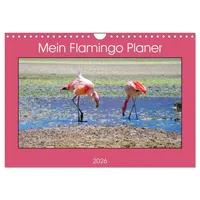 Calvendo Mein Flamingo Planer (Wandkalender 2026 DIN A4 quer),