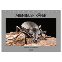 Calvendo ABENTEUER KÄFER (Tischkalender 2026 DIN A5 quer), CALVENDO