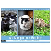 Calvendo Auf Samtpfoten in Russland - Museums-Katzen auf russischen