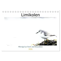 Calvendo Limikolen - Watvögel an Nord- und Ostseeküste (Tischkalender