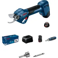 Bosch Professional GGP 12V-25 2 x Akku GBA 12V