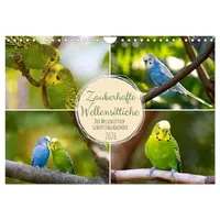 Calvendo Zauberhafte Wellensittiche (Wandkalender 2026 DIN A4 quer), CALVENDO