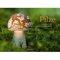 Ackermann Pilze Kalender 2026 Vielfalt am Waldboden