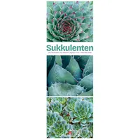 Ackermann Sukkulenten Triplet-Kalender 2026 Kakteen, Agaven & Co