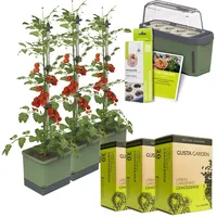 Gusta Garden Tomaten-Power-Set 9-teilig dunkelgrün