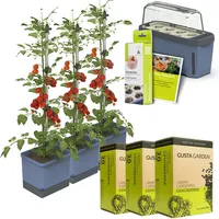 Gusta Garden Tomaten-Power-Set 9-teilig blau