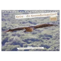 Calvendo Geier - die Gesundheitspolizei! (Tischkalender 2026 DIN A5