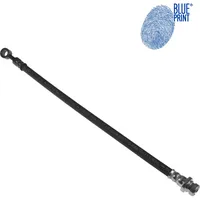 Blue Print Bremsschlauch ADG053142