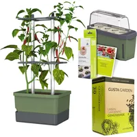 Gusta Garden Chili-Starter-Set 5-teilig dunkelgrün