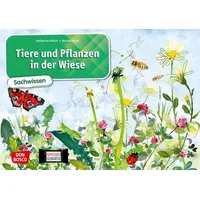 Don Bosco Tiere und Pflanzen in der Wiese. Kamishibai