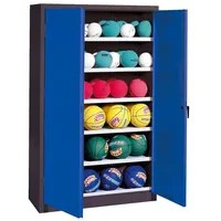 C+P Ballschrank mit Vollblech-Flügeltüren (Typ 3), HxBxT: 195x120x50 cm,