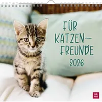 Groh Verlag Wandkalender 2026: Für Katzenfreunde