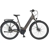 Prophete Geniesser 3.3 28 Zoll RH 48 cm Matt