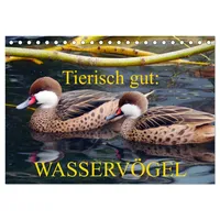 Calvendo Tierisch gut: Wasservögel (Tischkalender 2026 DIN A5 quer),