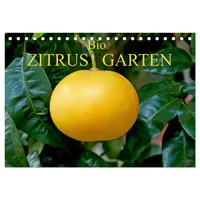 Calvendo Bio Zitrus Garten (Tischkalender 2026 DIN A5 quer),
