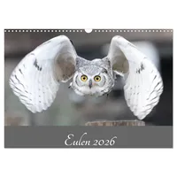 Calvendo Eulen 2026 (Wandkalender 2026 DIN A3 quer), CALVENDO