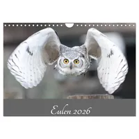 Calvendo Eulen 2026 (Wandkalender 2026 DIN A4 quer), CALVENDO