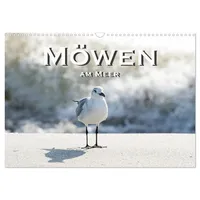 Calvendo Möwen am Meer (Wandkalender 2026 DIN A3 quer),